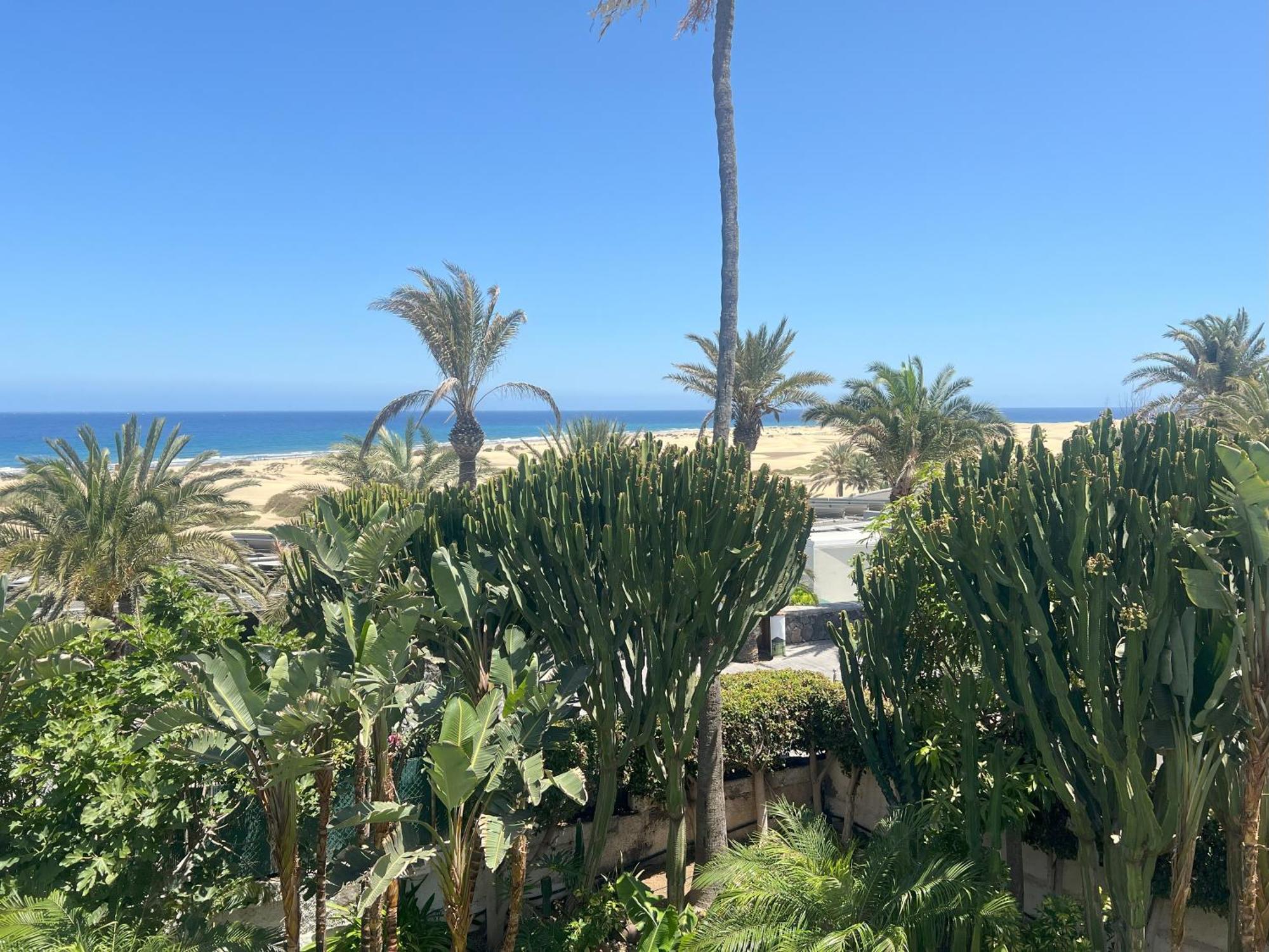 Apartment Hotel Taboga (Adults Only) Πλάγια ντελ Ινγκλές Εξωτερικό φωτογραφία